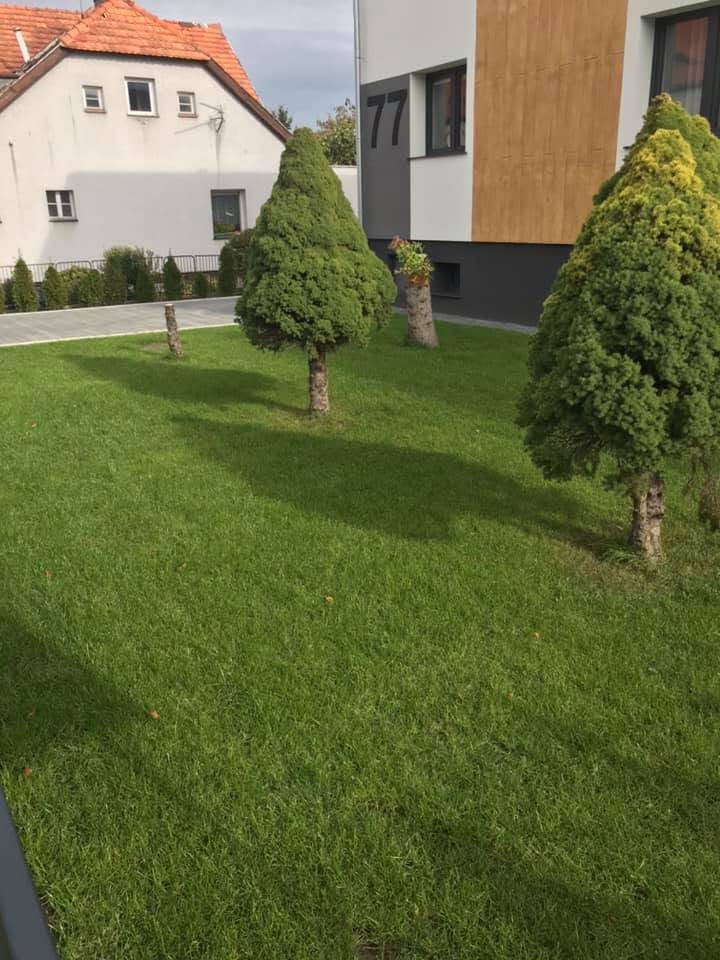 Staw ogrodowy