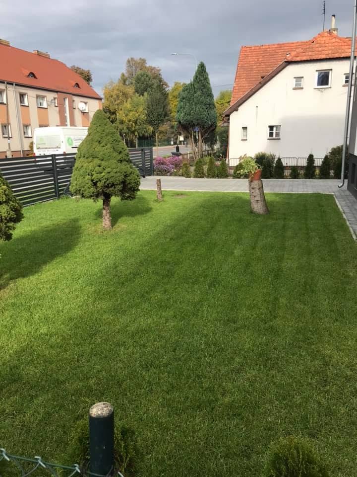 Ogród geometryczny